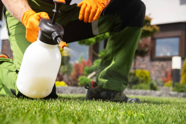 Best Pest Prevention Services  in Woodcreek, TX