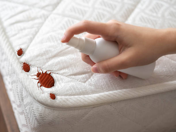 Best Affordable Pest Control Services  in Woodcreek, TX